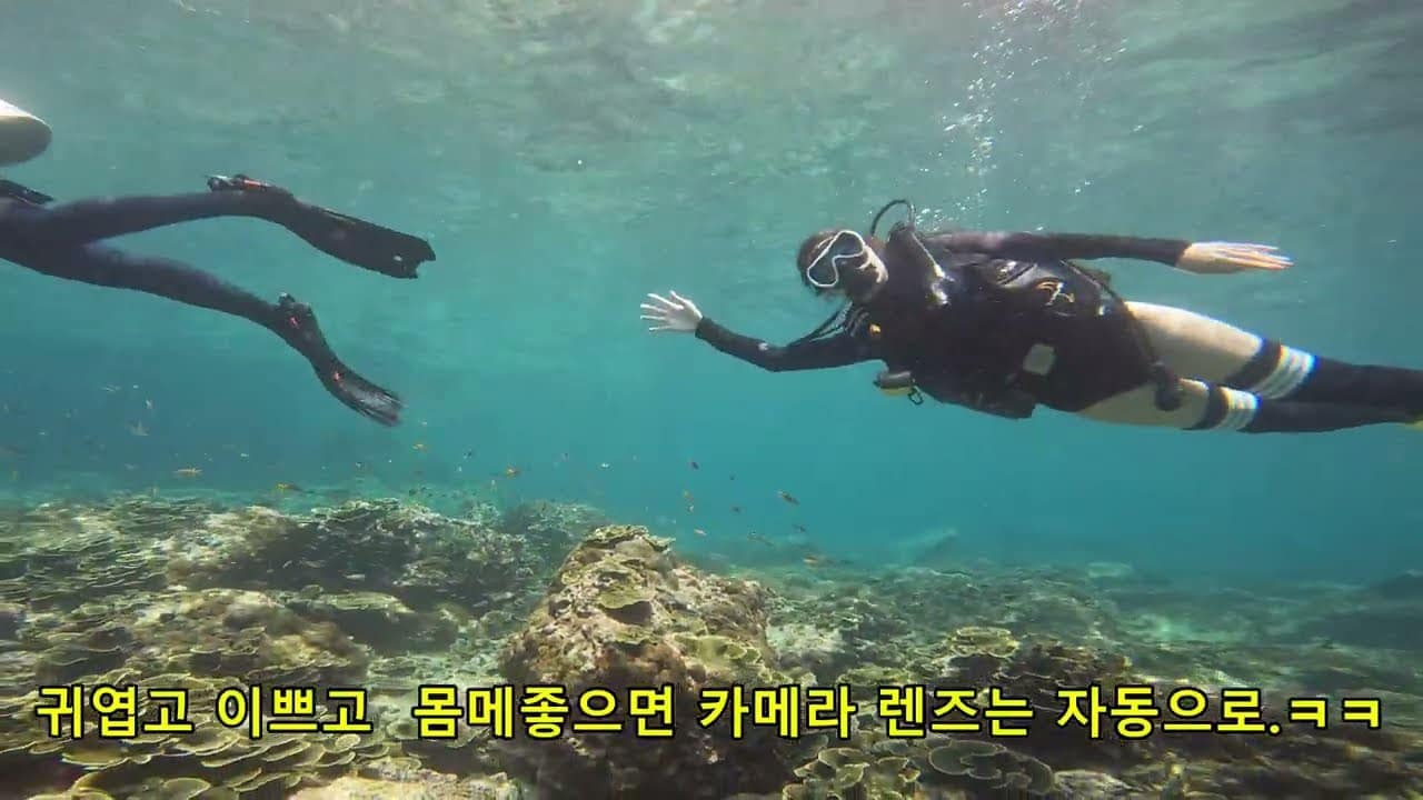 피피섬 · 푸켓 다이빙 투어